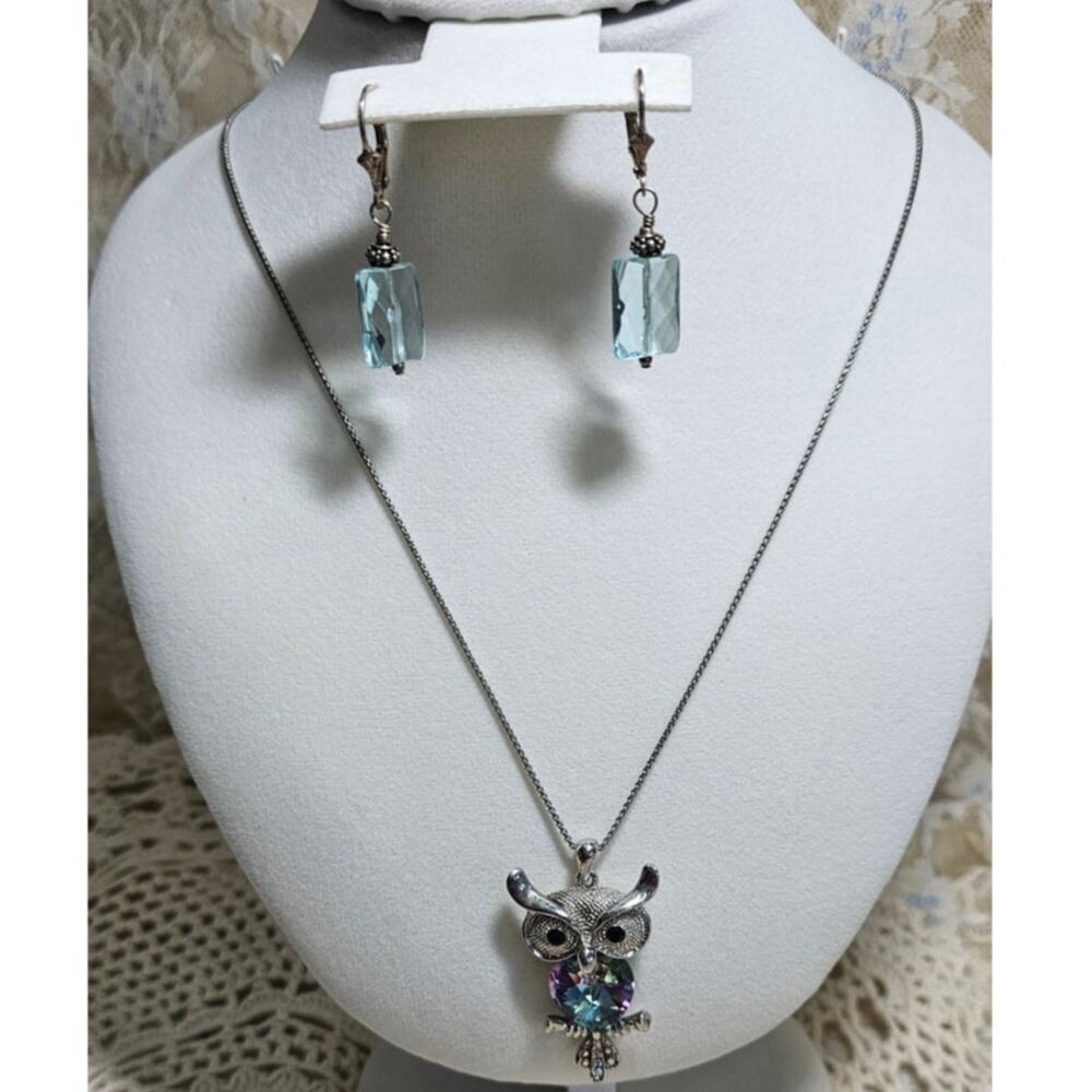 Rhinestone Silver-tone Rhinestone Owl with Earrings